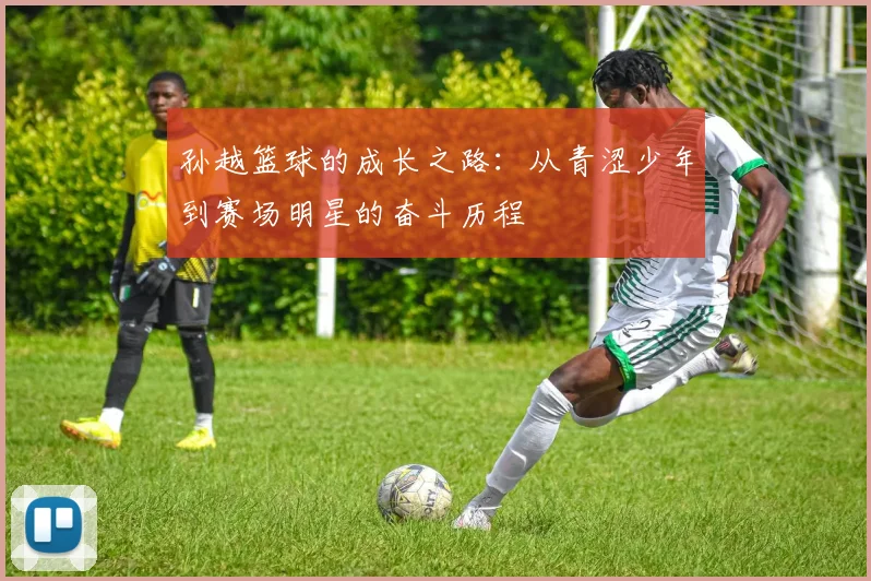 孙越篮球的成长之路：从青涩少年到赛场明星的奋斗历程