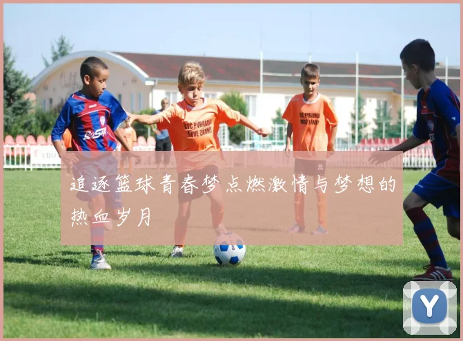 追逐篮球青春梦点燃激情与梦想的热血岁月
